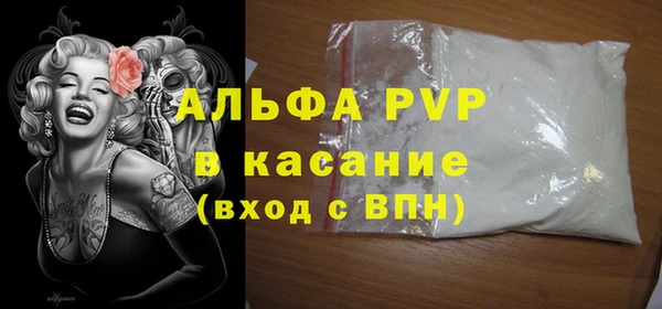 стаф Алексин