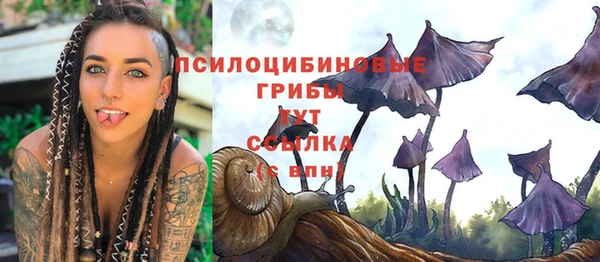 стаф Алексин